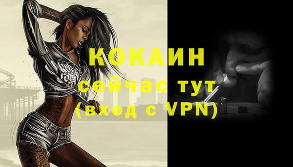 индика Белоозёрский