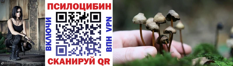 Галлюциногенные грибы MAGIC MUSHROOMS  Кисловодск 